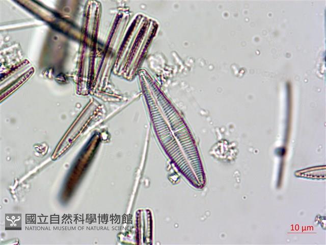 登錄號:A00004624藏品圖，第6張