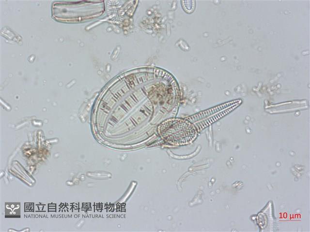 登錄號:A00004524藏品圖，第6張