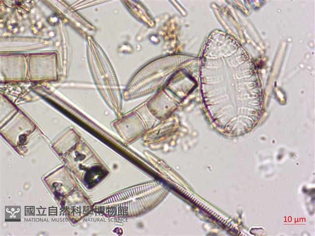登錄號:A00004574藏品圖，第6張