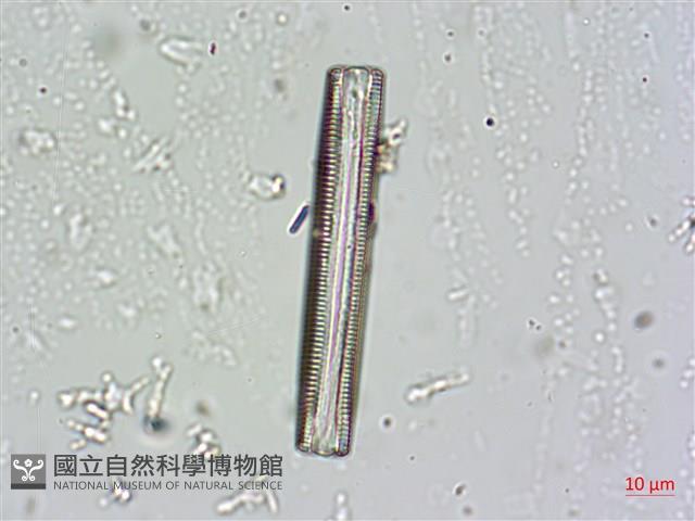 登錄號:A00004664藏品圖，第6張