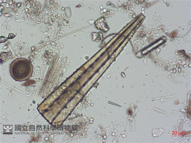 登錄號:A00004504藏品圖，第6張