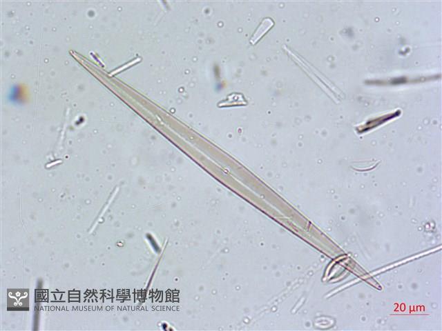 登錄號:A00004637藏品圖，第6張