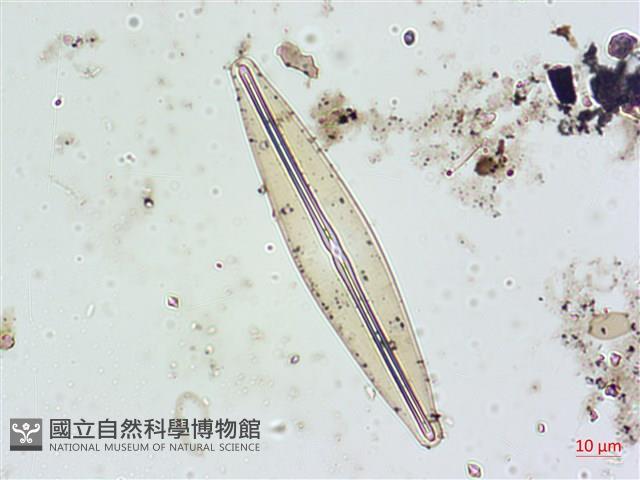 登錄號:A00004627藏品圖，第6張