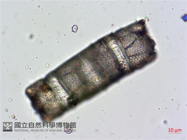 登錄號:A00004477藏品圖，第6張