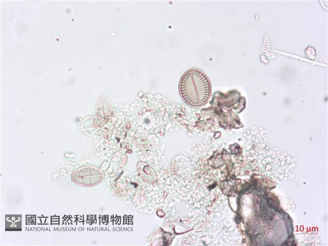 登錄號:A00004497藏品圖，第6張