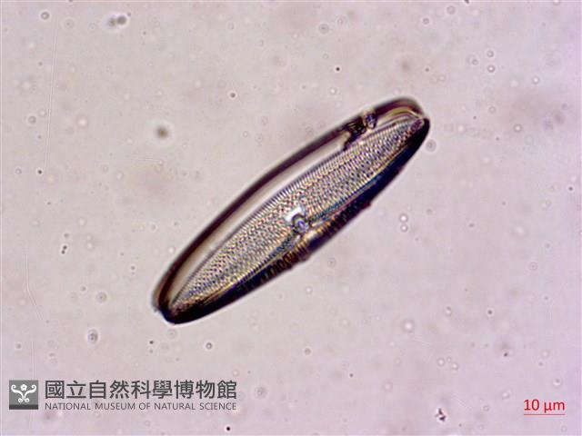 登錄號:A00004567藏品圖，第6張