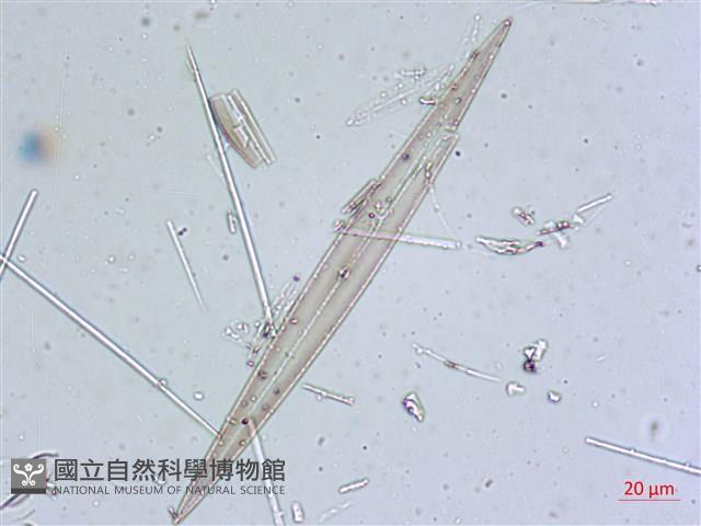 登錄號:A00004635藏品圖，第6張