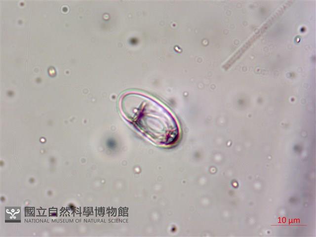 登錄號:A00004655藏品圖，第5張