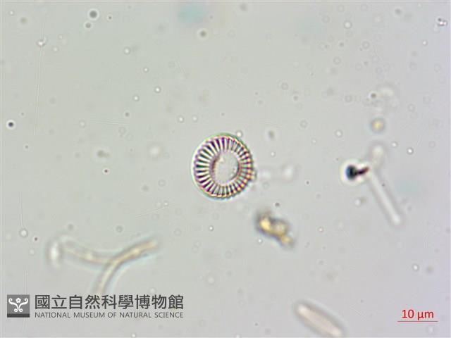 登錄號:A00004675藏品圖，第6張