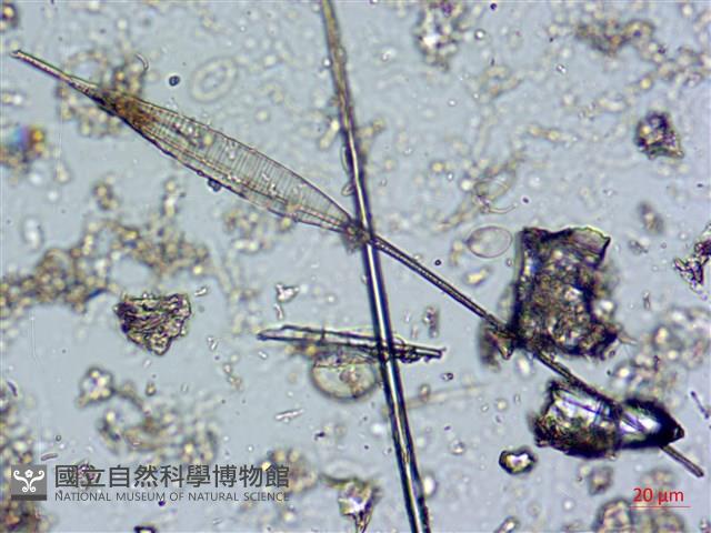 登錄號:A00004575藏品圖，第6張