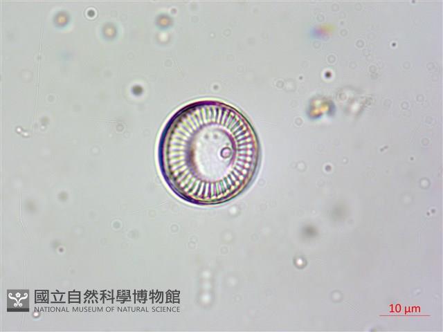 登錄號:A00004631藏品圖，第6張