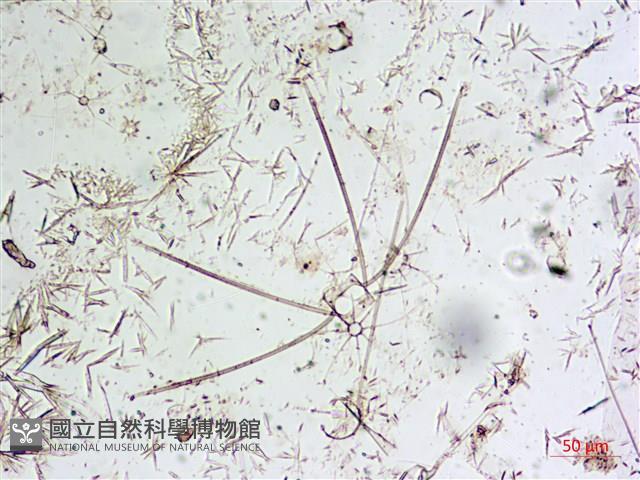 登錄號:A00004651藏品圖，第6張