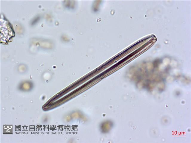 登錄號:A00004671藏品圖，第9張