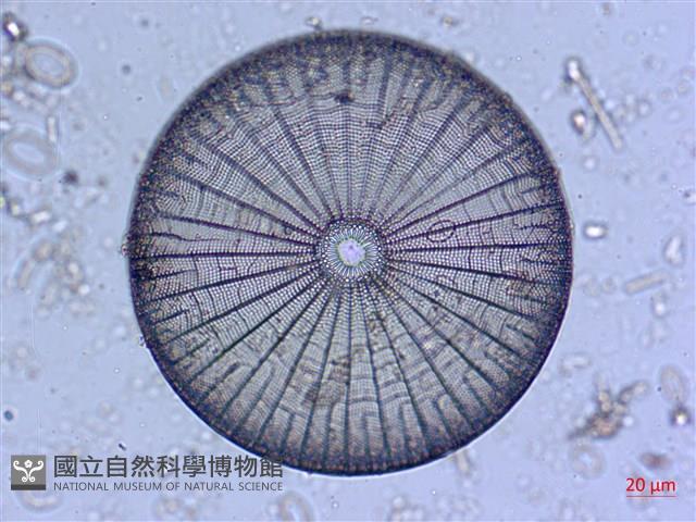 登錄號:A00004530藏品圖，第8張