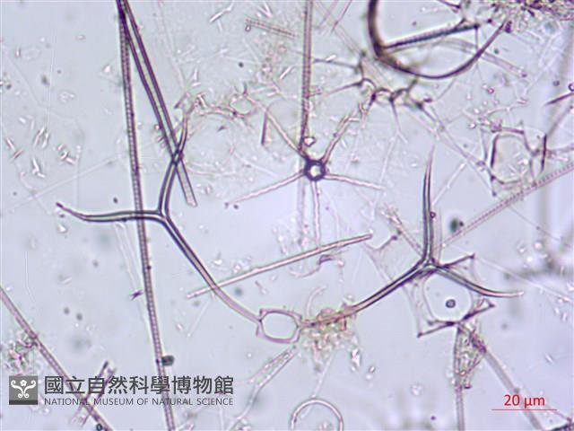 登錄號:A00004650藏品圖，第9張