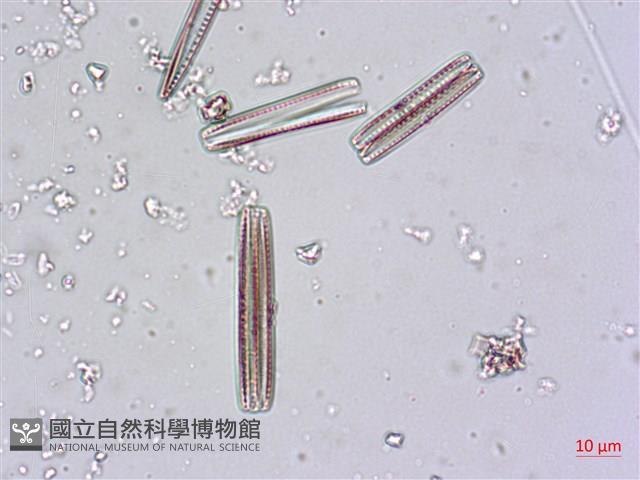 登錄號:A00004480藏品圖，第9張