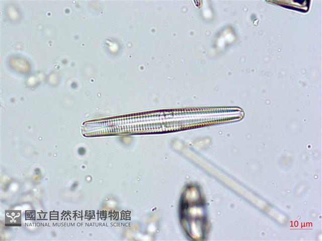 登錄號:A00004633藏品圖，第6張