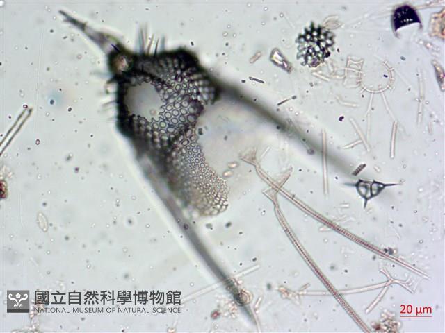 登錄號:A00004653藏品圖，第6張