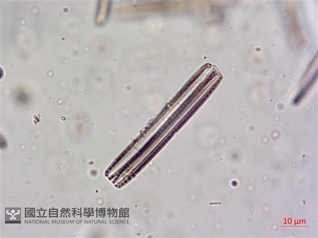 登錄號:A00004623藏品圖，第6張