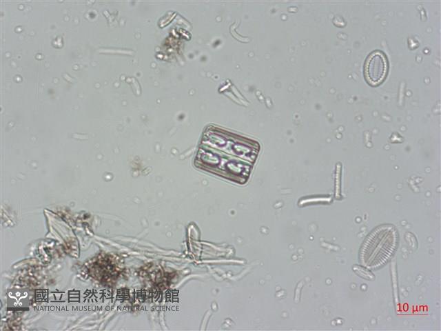 登錄號:A00004523藏品圖，第6張