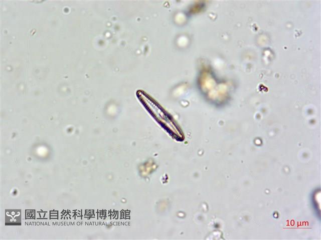 登錄號:A00004673藏品圖，第6張