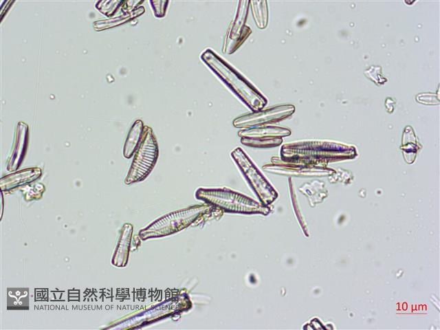 登錄號:A00004663藏品圖，第6張