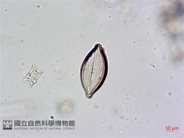 登錄號:A00004603藏品圖，第6張