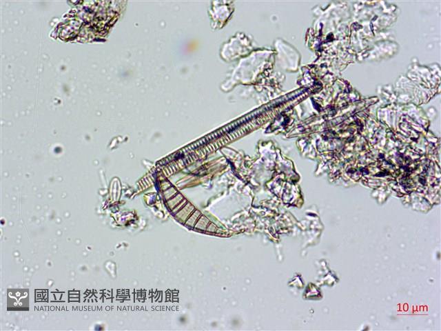 登錄號:A00004672藏品圖，第16張