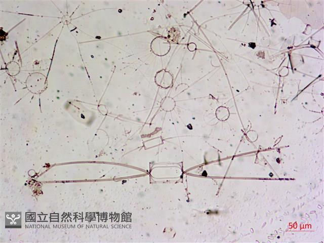 登錄號:A00004655藏品圖，第15張