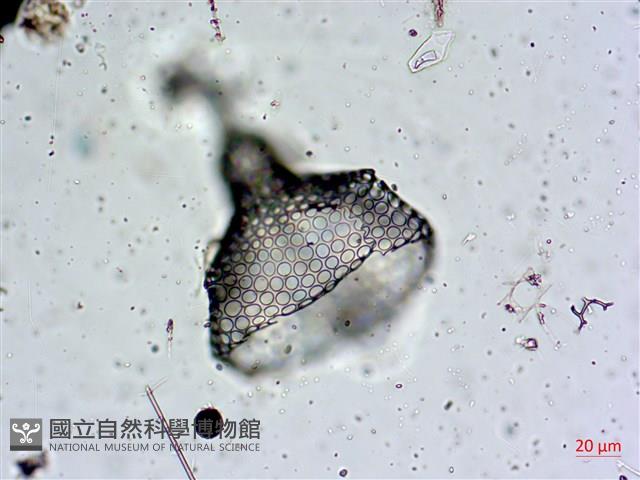登錄號:A00004653藏品圖，第16張