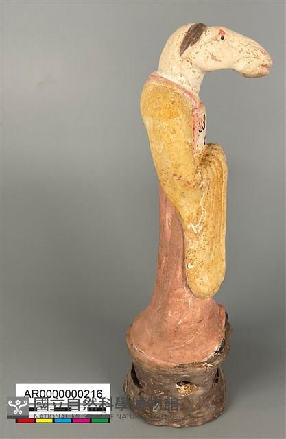 加彩馬甬藏品圖，第5張