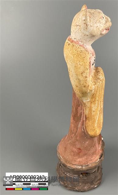 加彩虎甬藏品圖，第5張
