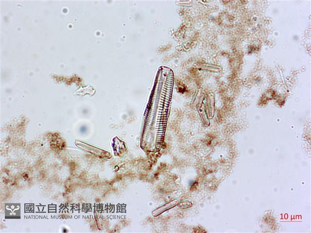 登錄號:A00004552藏品圖，第7張