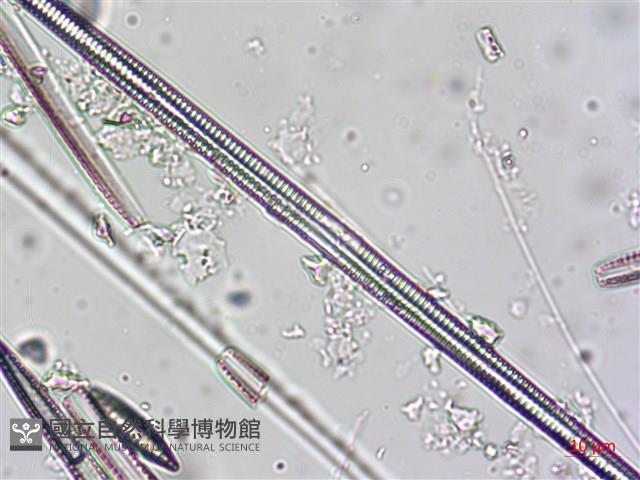 登錄號:A00004622藏品圖，第8張