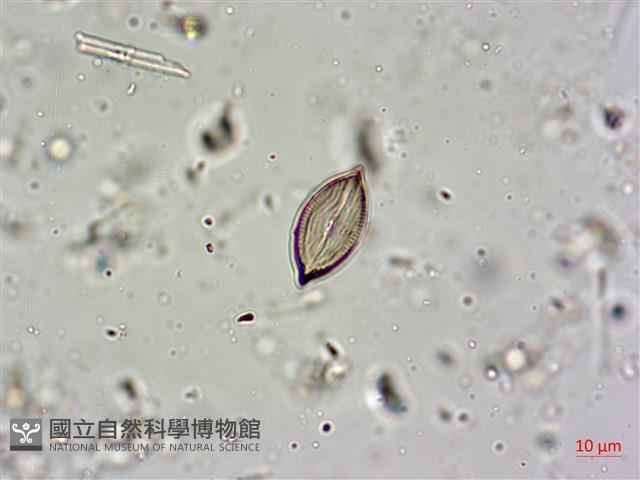 登錄號:A00004602藏品圖，第8張