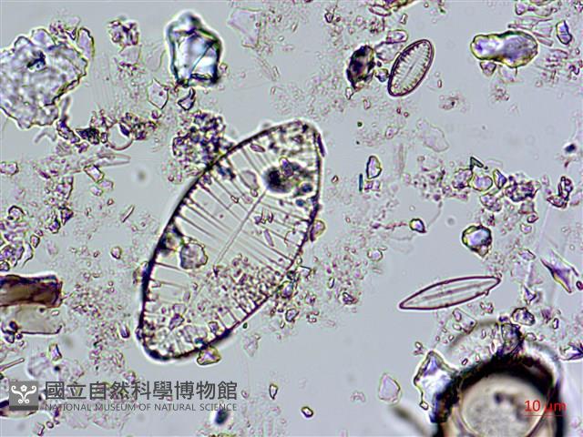 登錄號:A00004582藏品圖，第7張