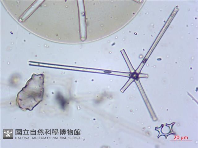 登錄號:A00004658藏品圖，第8張