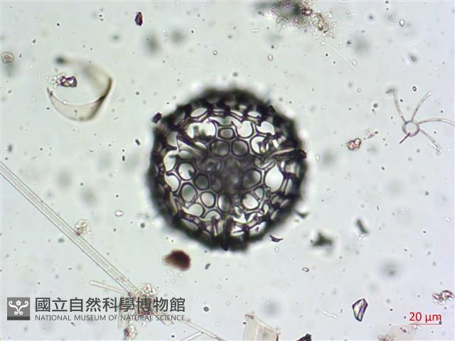登錄號:A00004656藏品圖，第8張