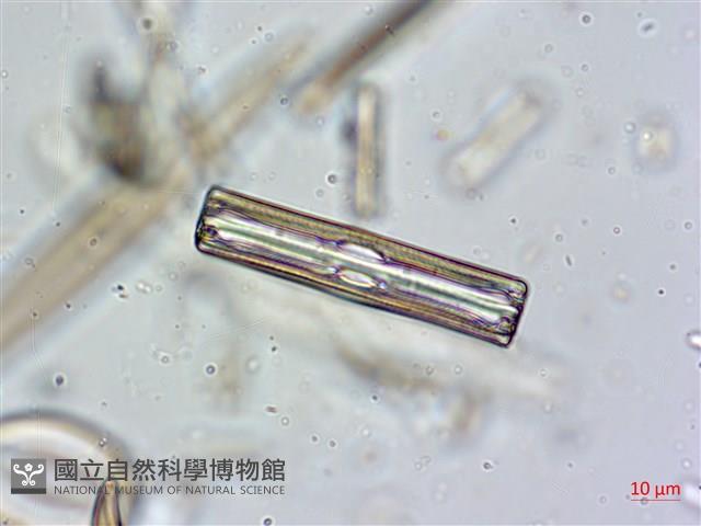 登錄號:A00004634藏品圖，第8張