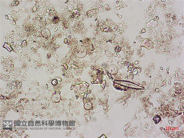 登錄號:A00004594藏品圖，第7張