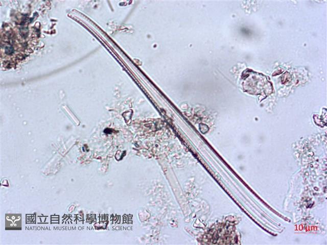 登錄號:A00004644藏品圖，第8張