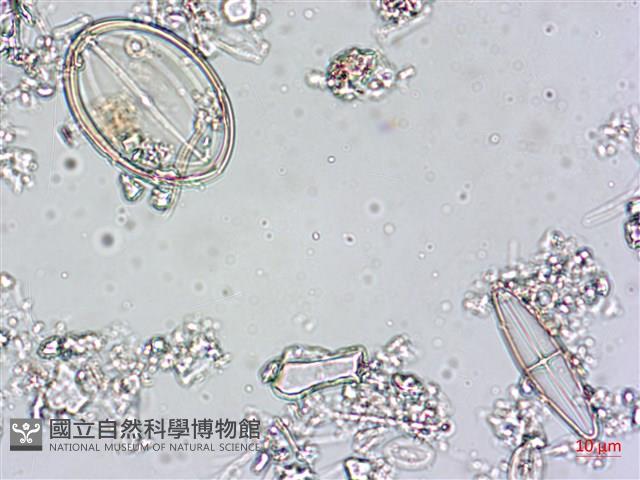 登錄號:A00004544藏品圖，第8張
