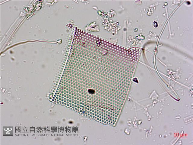 登錄號:A00004564藏品圖，第7張