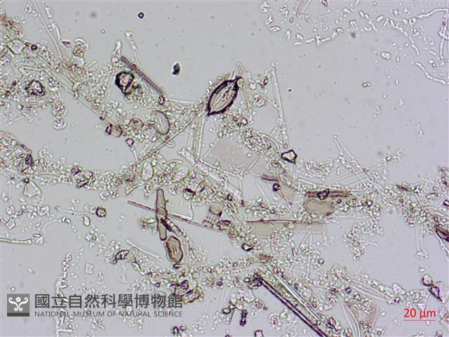登錄號:A00004557藏品圖，第8張