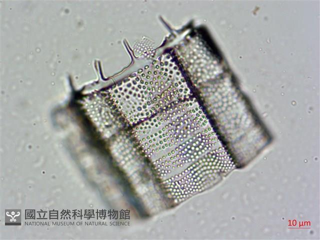 登錄號:A00004477藏品圖，第8張