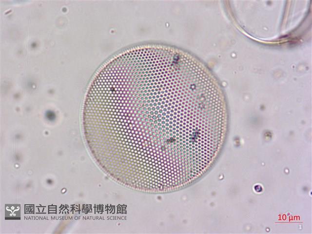登錄號:A00004655藏品圖，第7張