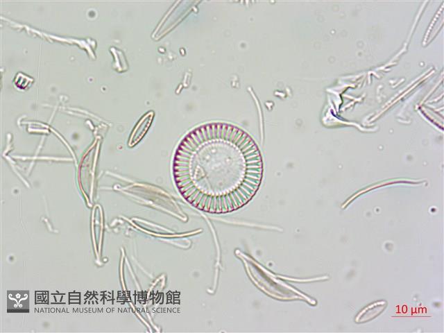 登錄號:A00004675藏品圖，第8張