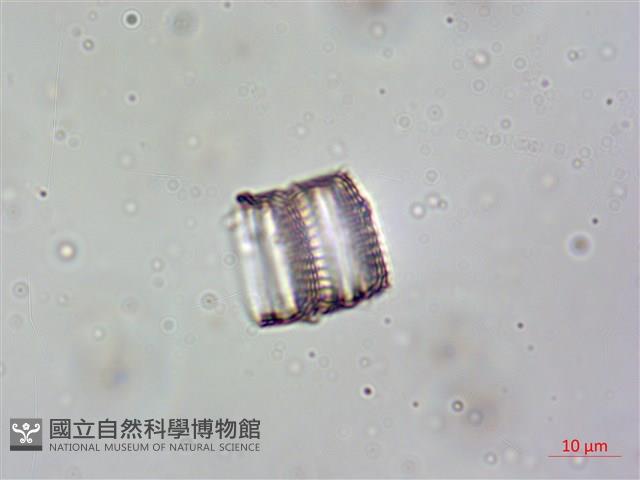 登錄號:A00004615藏品圖，第8張