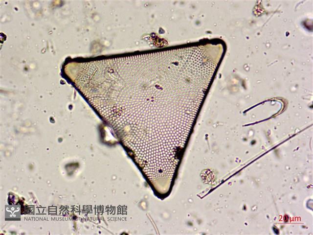 登錄號:A00004605藏品圖，第8張