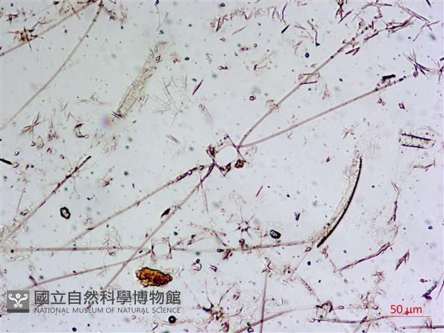 登錄號:A00004651藏品圖，第8張